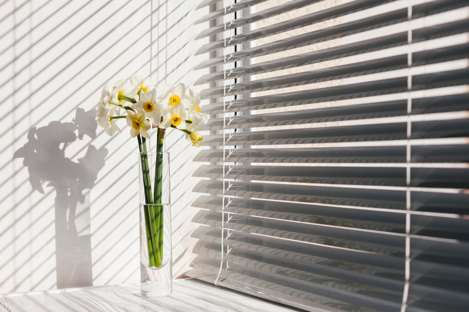 Widow Roller blind