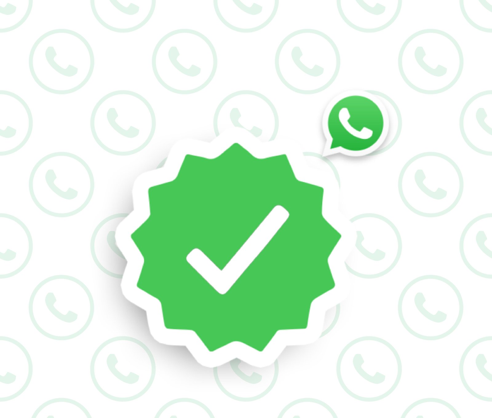 WhatsApp Green Tick Service